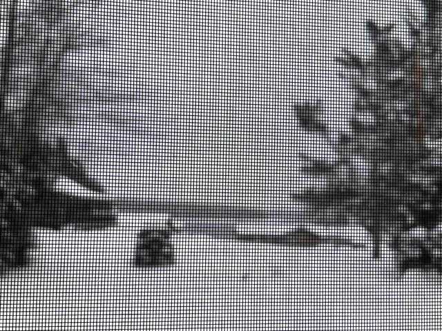 $444,000 | 33 Timberland Road, Pittsburg, NH 03592