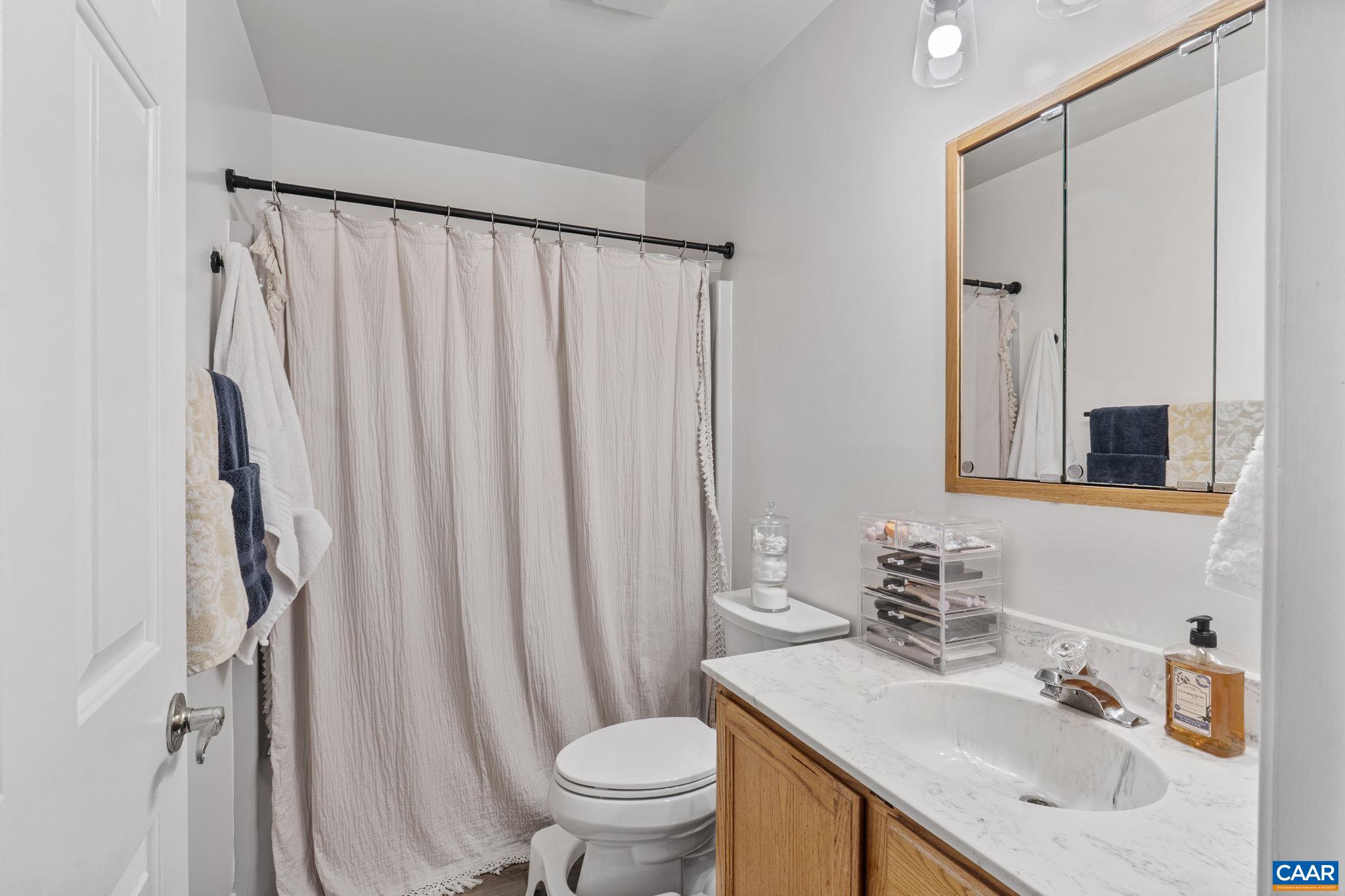 7 Sand Trap Terrace Palmyra, VA 22963 - Photo 20 of 27 a bathroom with a sink toilet and shower
