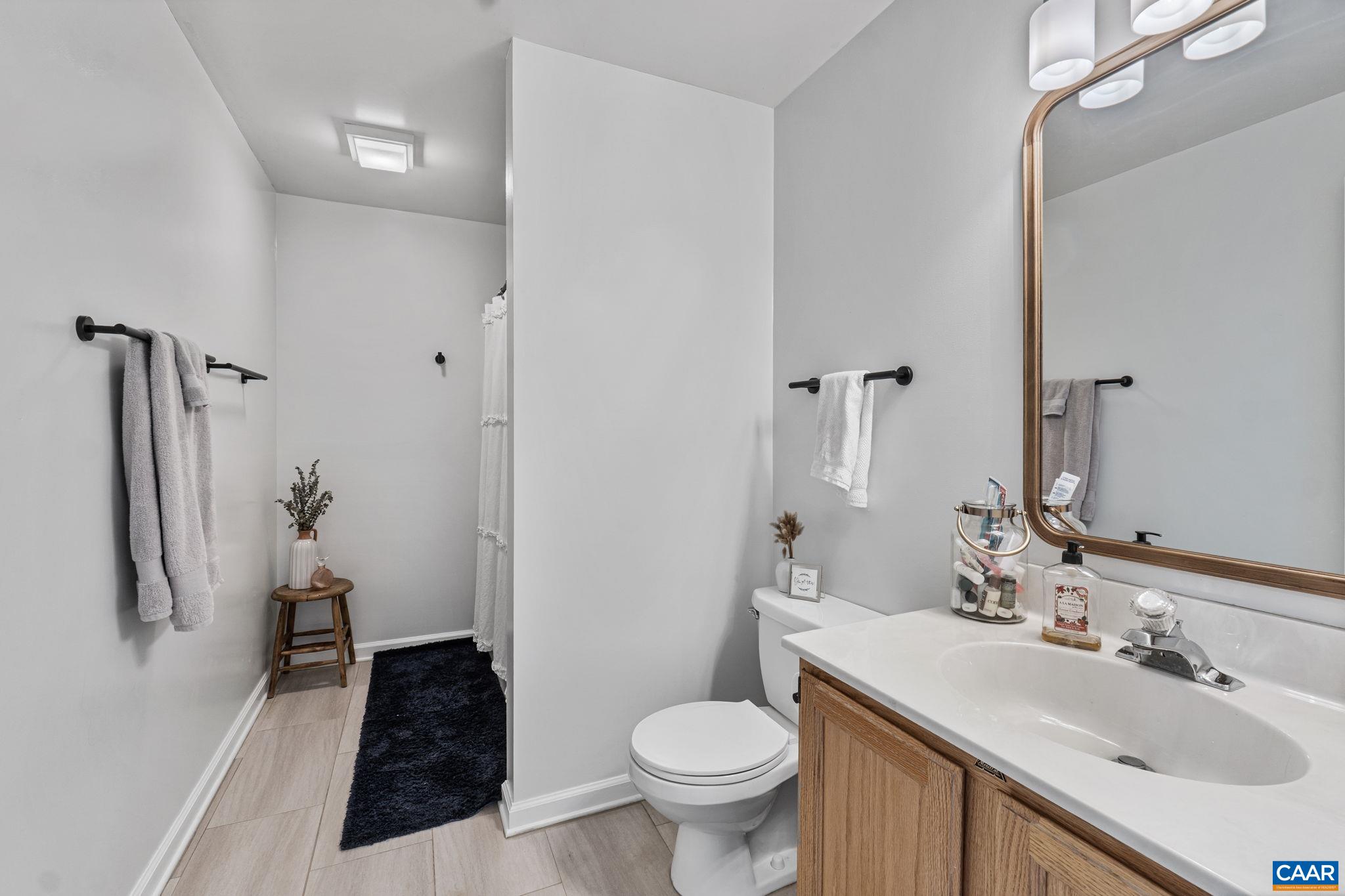 7 Sand Trap Terrace Palmyra, VA 22963 - Photo 26 of 27 a bathroom with a sink toilet and shower