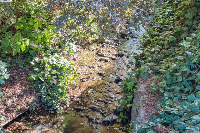 $995,000 | 1197 Curtis Street, Albany, CA 94706