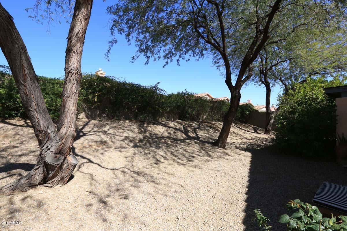 2914 East Calavar Road Phoenix, AZ 85032 - Photo 37 of 39 Backyard