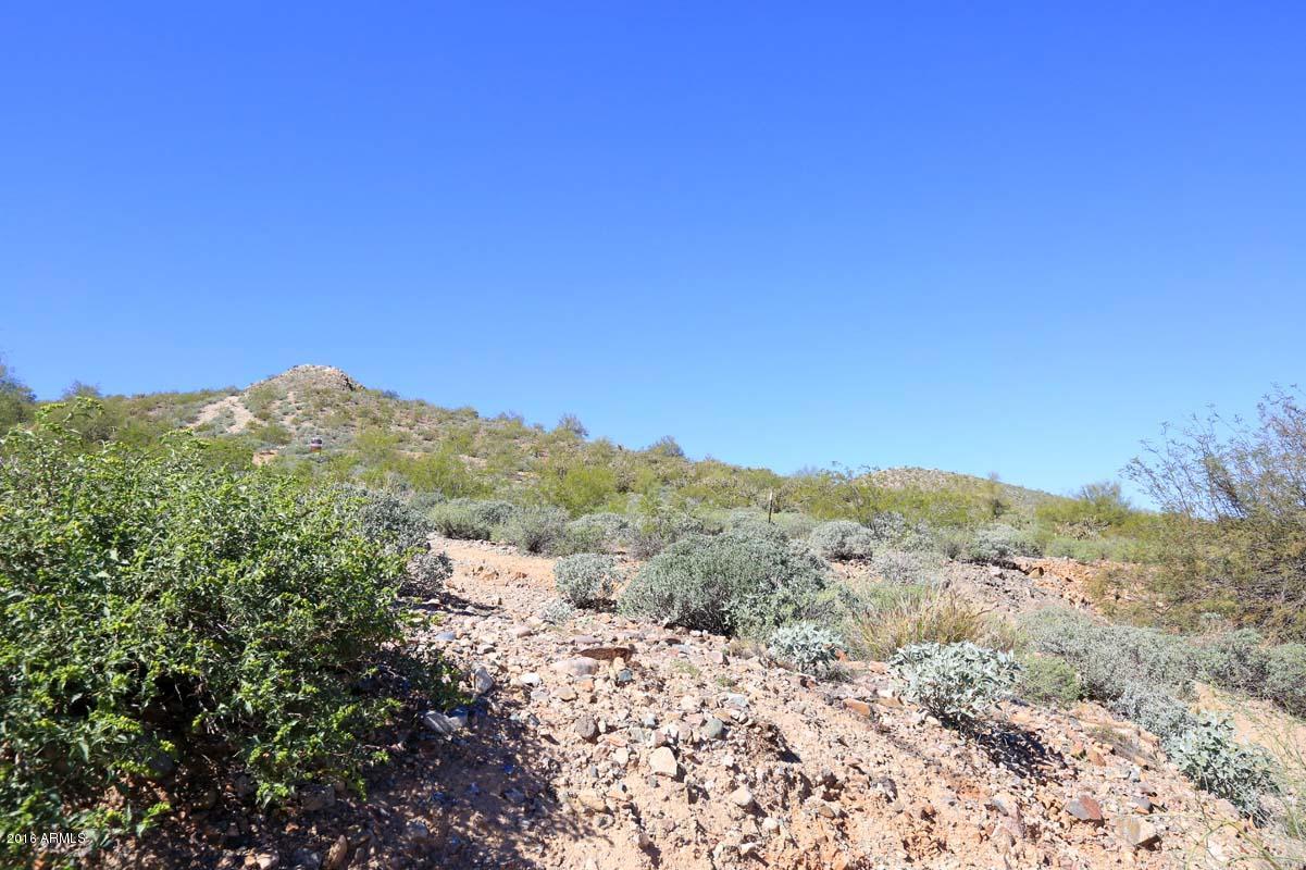 2914 East Calavar Road Phoenix, AZ 85032 - Photo 39 of 39 Phoenix Mountain Preserve-Trails2