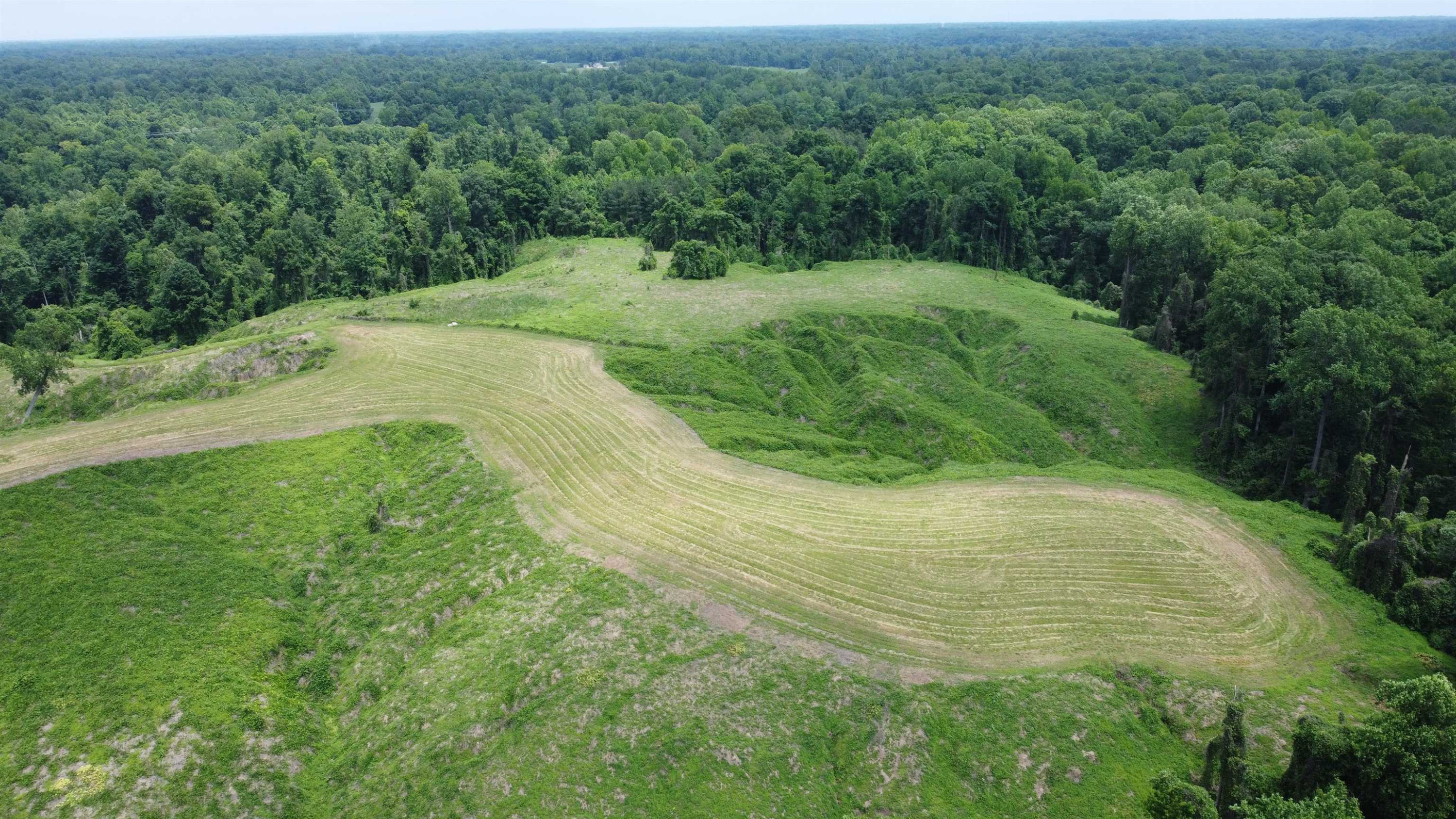 6108 Webb Store Road Hornbeak, TN 38232 - Photo 4 of 36 Photo 4