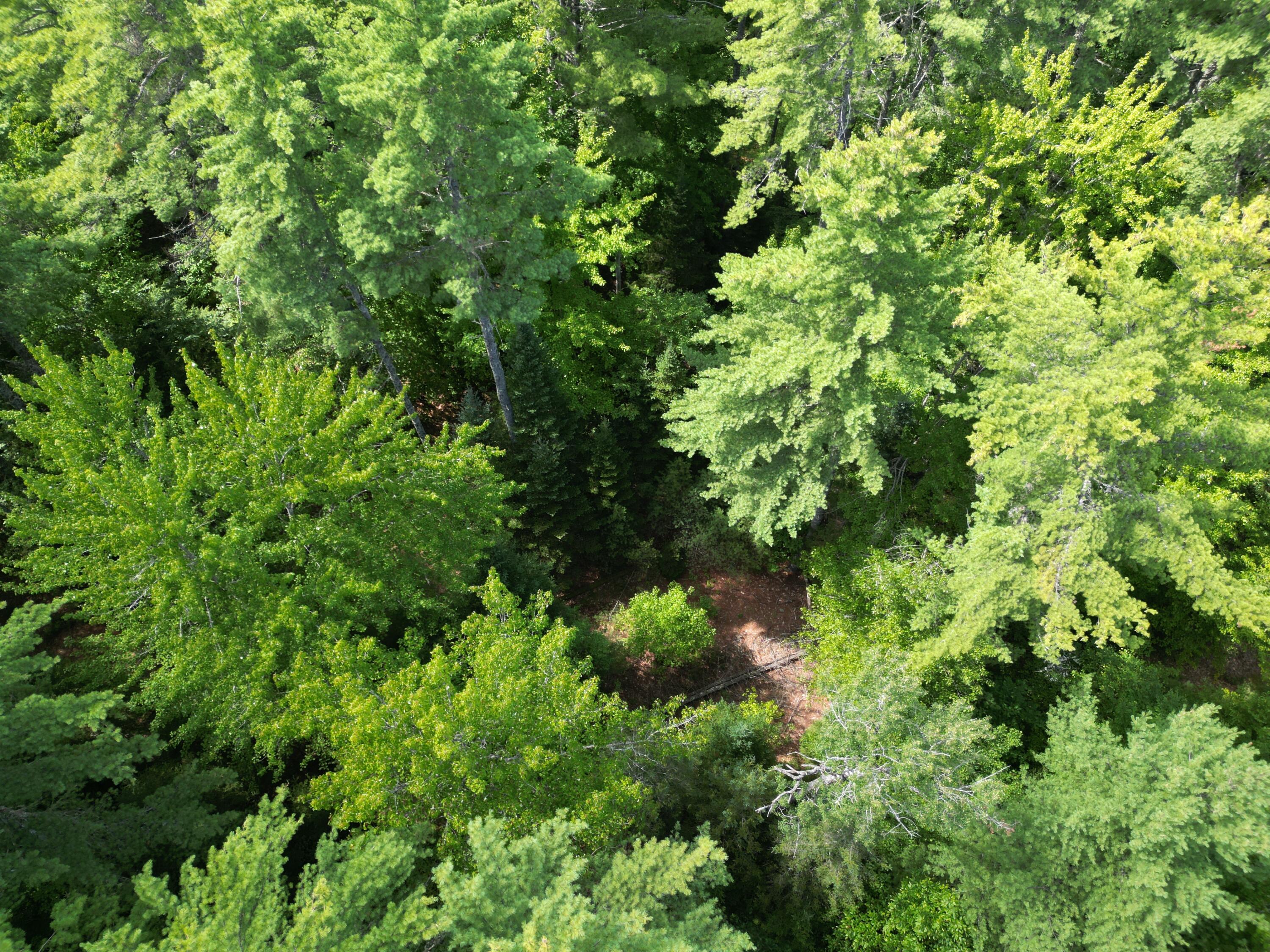 Lot 5 River Road Lagrange, ME 04453 - Photo 13 of 19 DJI_0046
