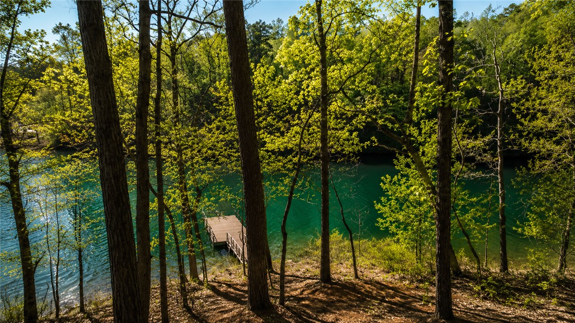 418 Sue Craig Road Six Mile, SC 29682 - Photo 4 of 12
