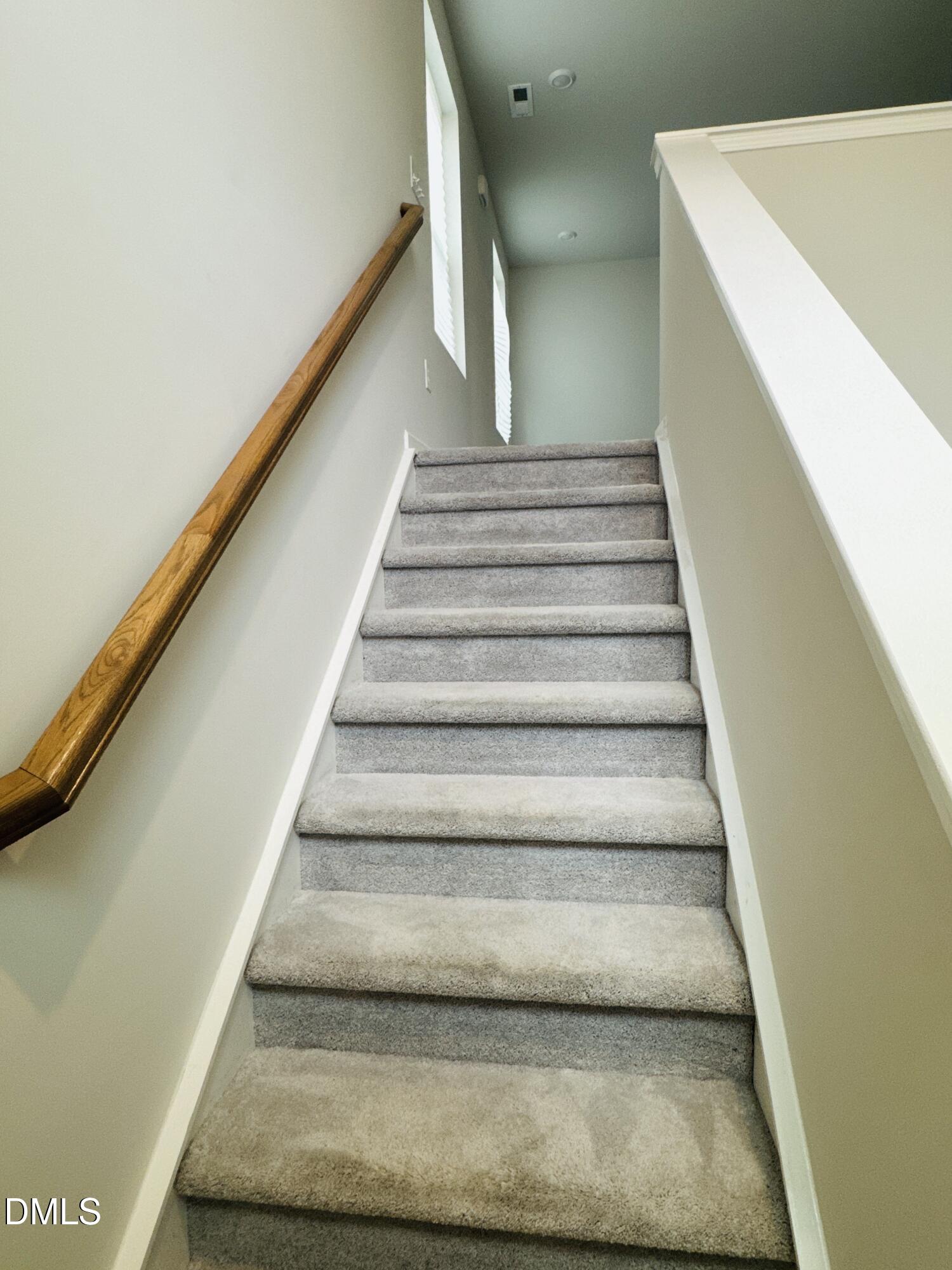 103 Yellow Iris Drive Raleigh, NC 27610 - Photo 8 of 15 IMG_1625