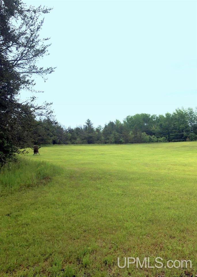 Tbd Co Rd Mt And Mu Palmer, MI 49871 - Photo 6 of 13