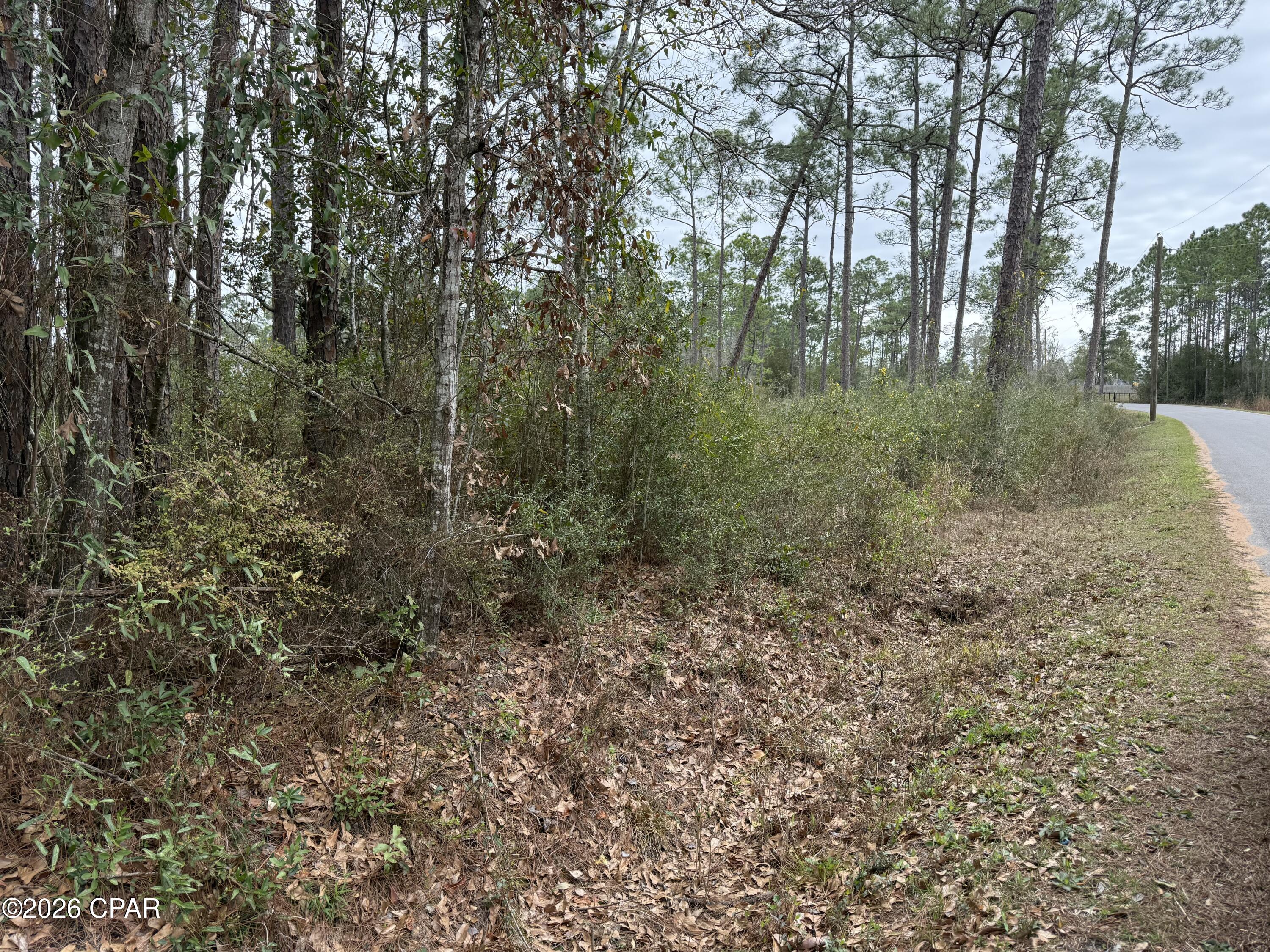 0 Petersen Point Road Milton, FL 32583 - Photo 3 of 10 Gallery Image 3