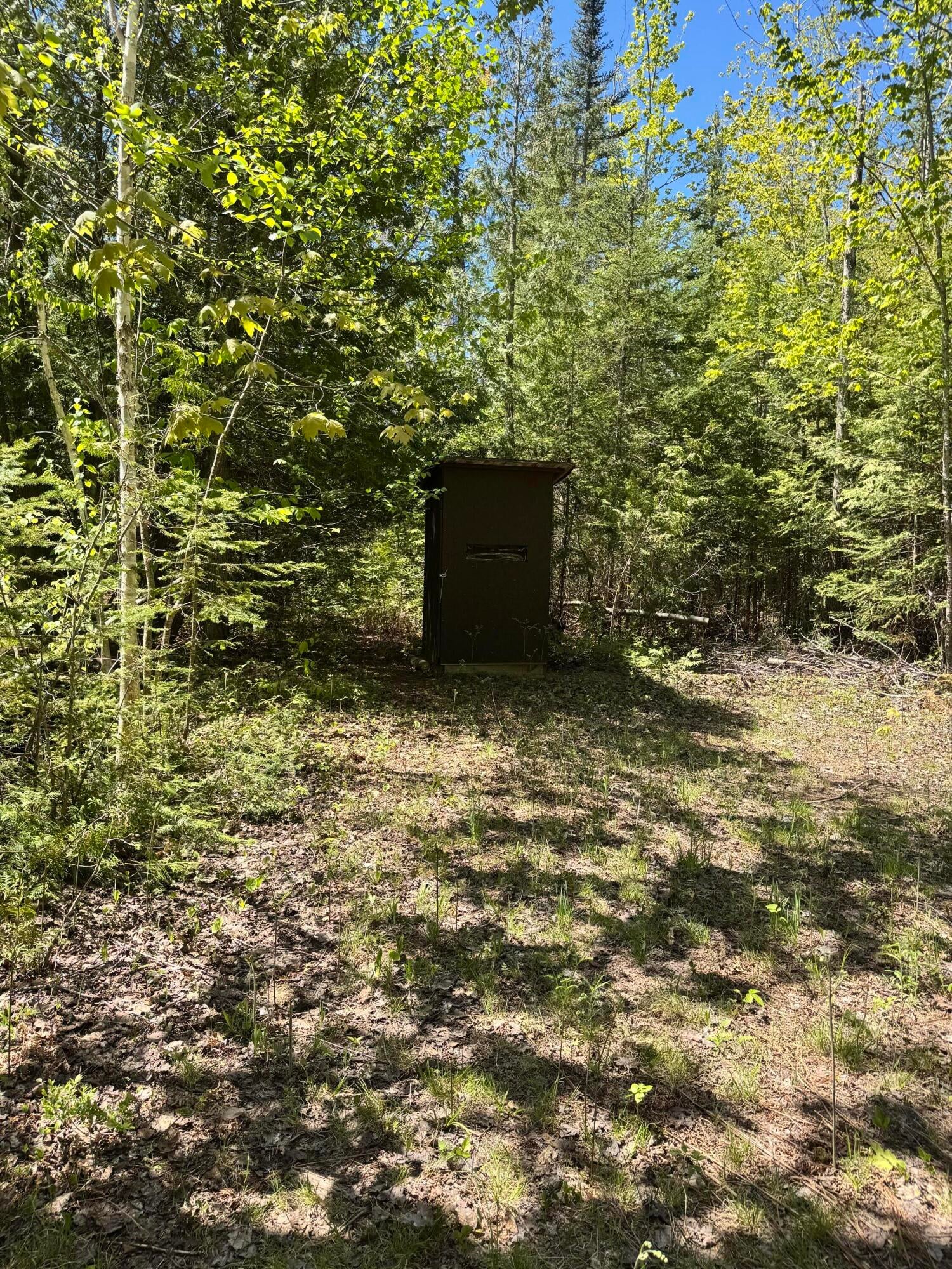60-ac Maynard Road Cheboygan, MI 49721 - Photo 4 of 6 Gallery Image 4