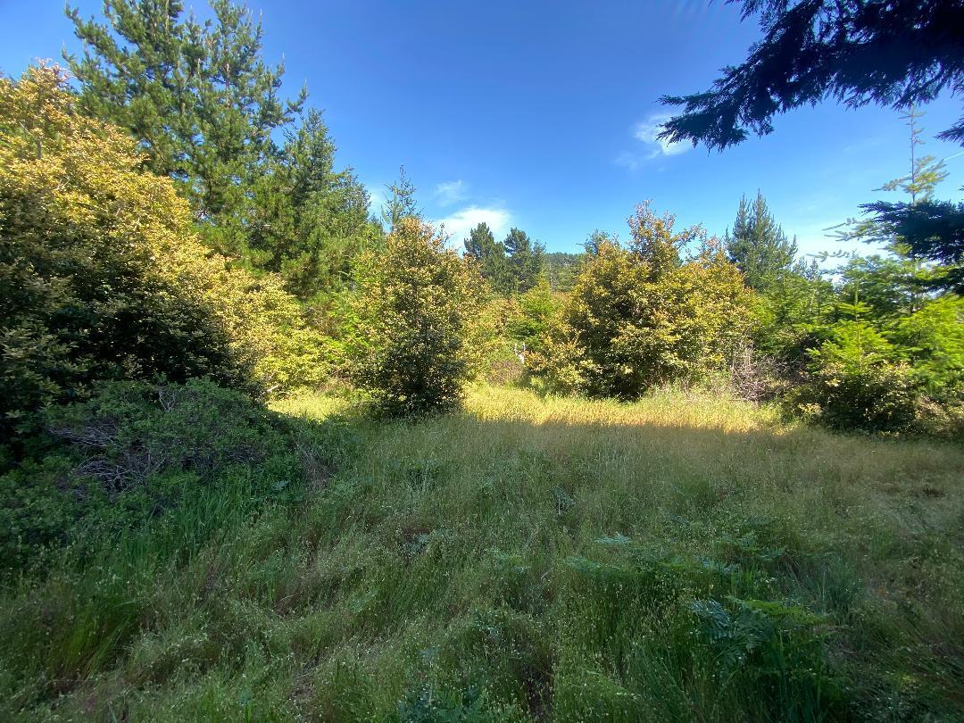 196 Ridge Road Shelter Cove, CA 95589 - Photo 2 of 9 154-71c