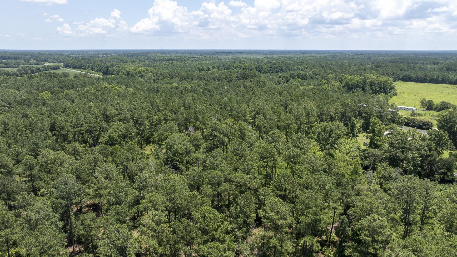 0 Toney Bay Road, Unit 3 Holly Hill, SC 29059 - Photo 25 of 36 Toney Bay-25