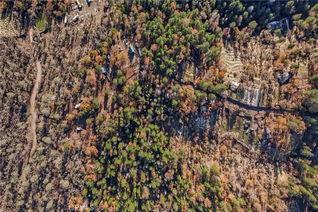 1 Stagecoach Drive Oak Run, CA 96069 - Photo 2 of 12 a view of a tree