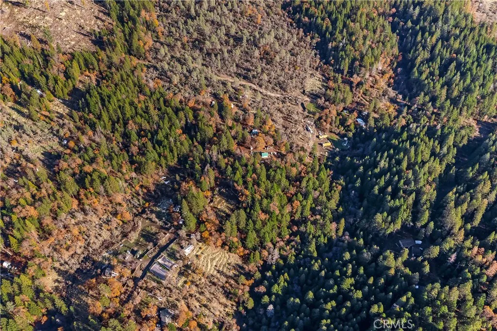 1 Stagecoach Drive Oak Run, CA 96069 - Photo 5 of 12 a view of a tree