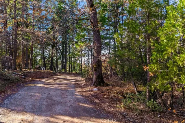a view of outdoor space with trees