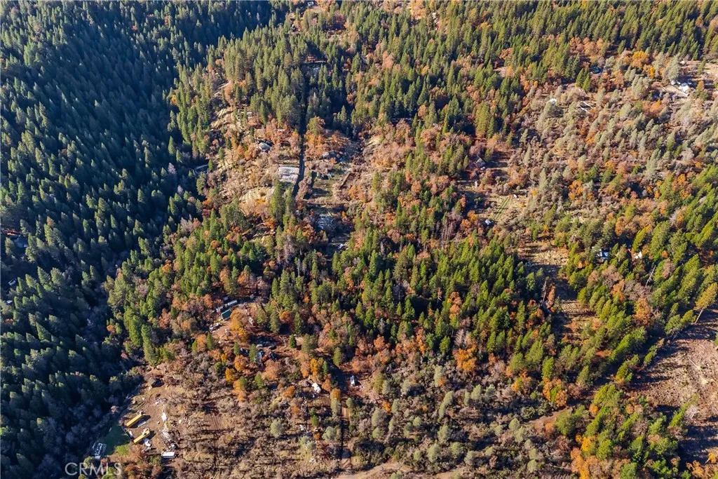 1 Stagecoach Drive Oak Run, CA 96069 - Photo 7 of 12 a view of a tree