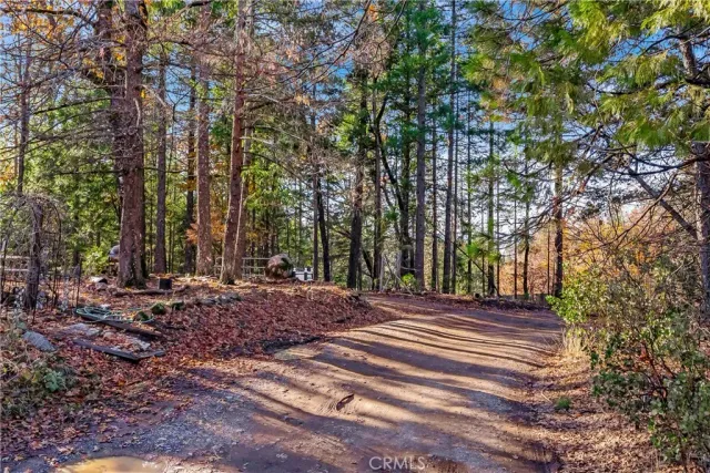 a view of a backyard with trees
