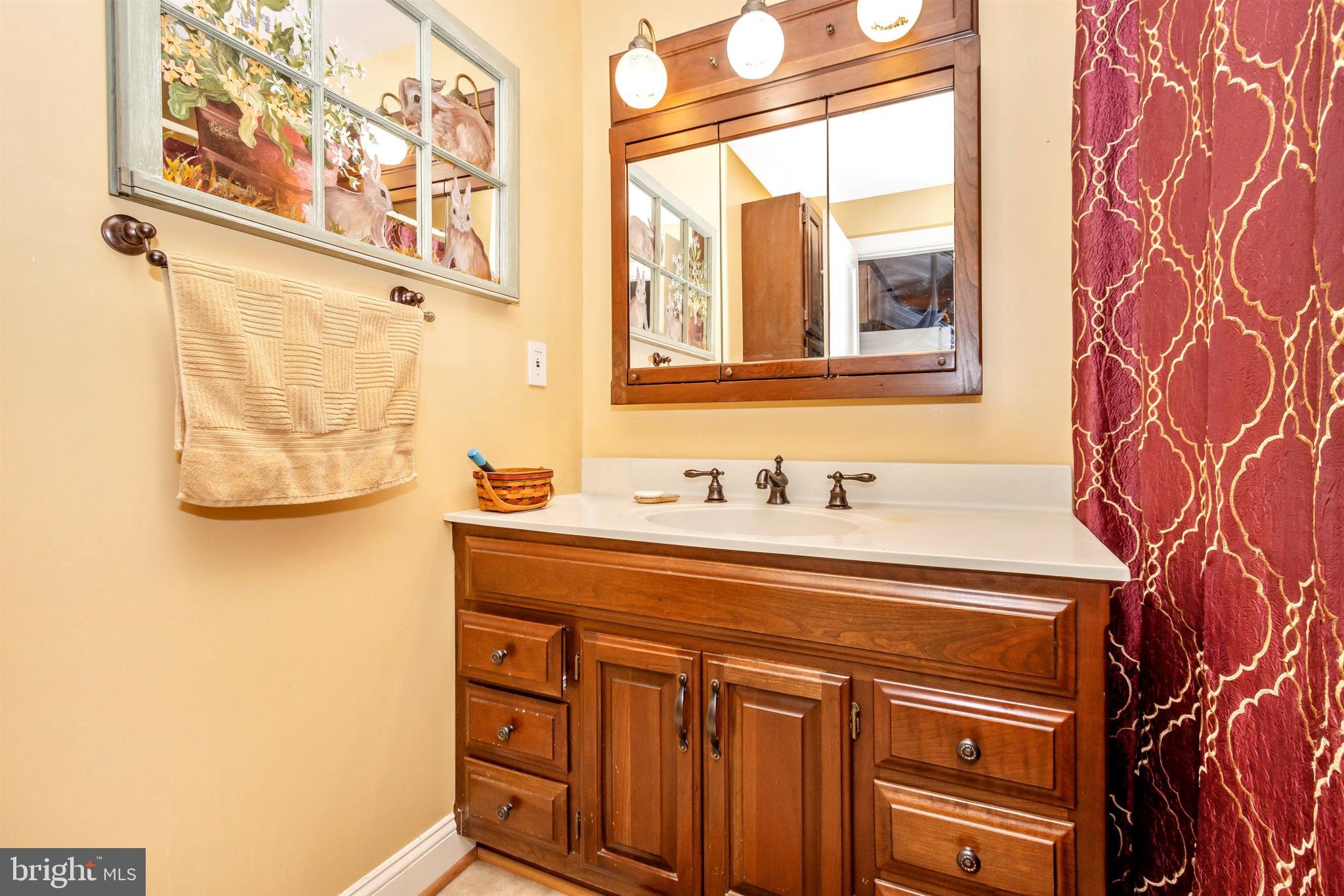 2827 Bird View Road Finksburg, MD 21048 - Photo 19 of 67 First floor full bathroom