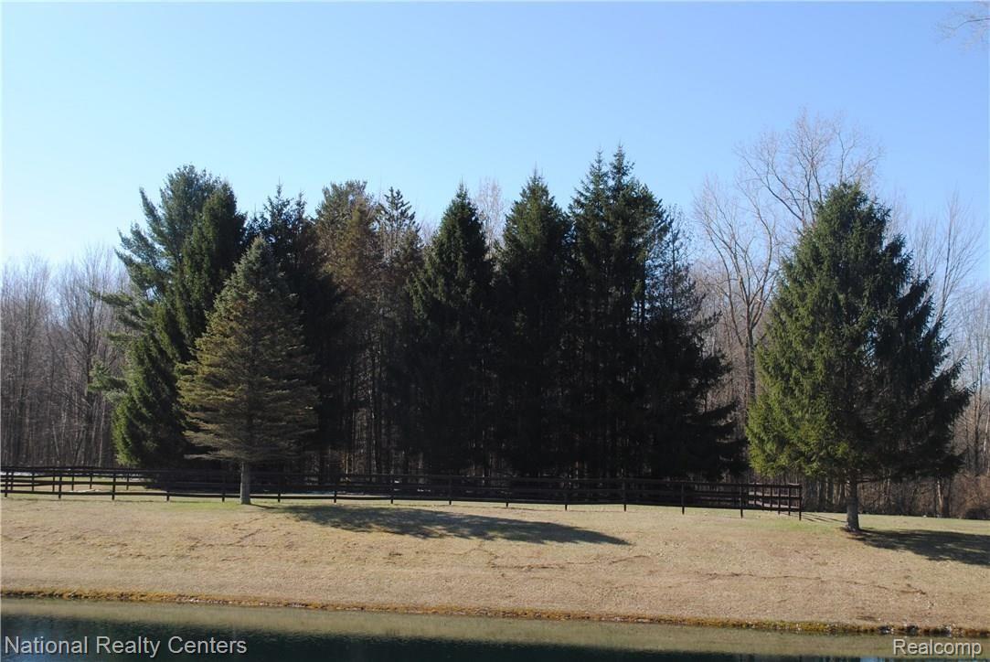 1769 Withey Road Columbus, MI 48063 - Photo 52 of 55 Unbelievable Beauty!