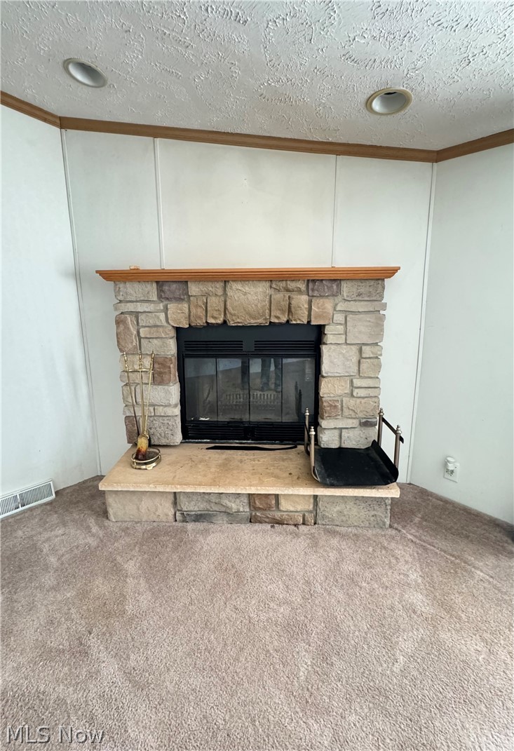 28240 Osborne Road Coolville, OH 45723 - Photo 5 of 29 Detailed view of a textured ceiling, carpet floors, a stone fireplace, and ornamental molding