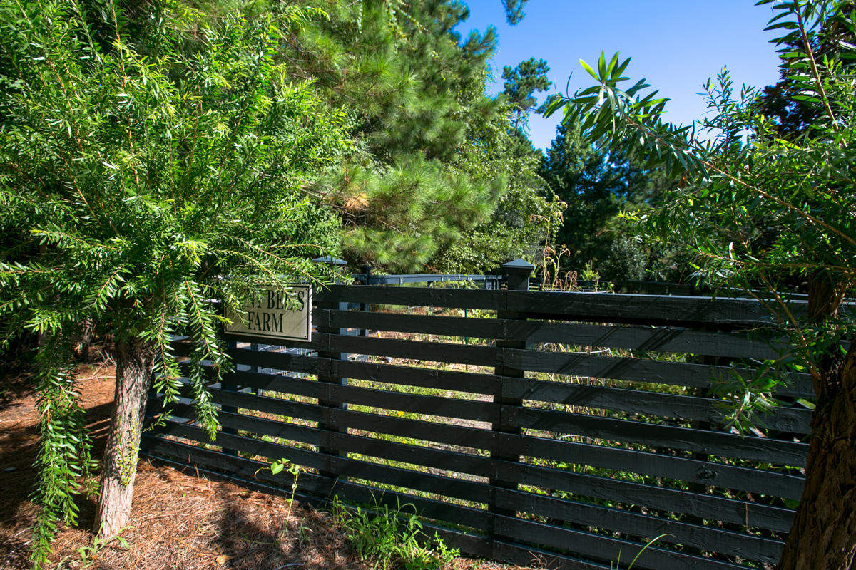 1909 Basildon Road Mount Pleasant, SC 29466 - Photo 26 of 36 9Z8A9845