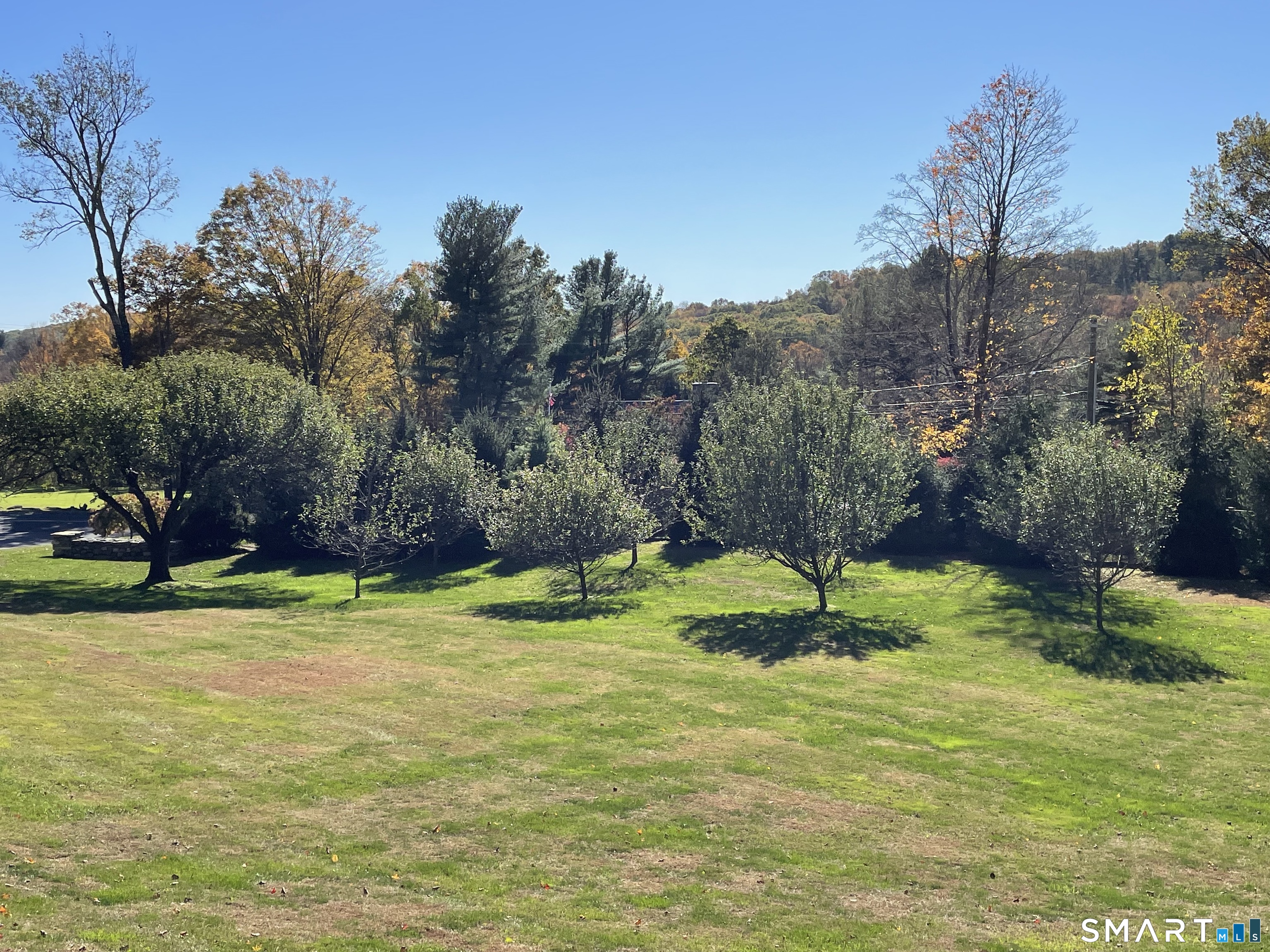18 Ranney Hill Road Roxbury, CT 06783 - Photo 3 of 4 Apple orchard