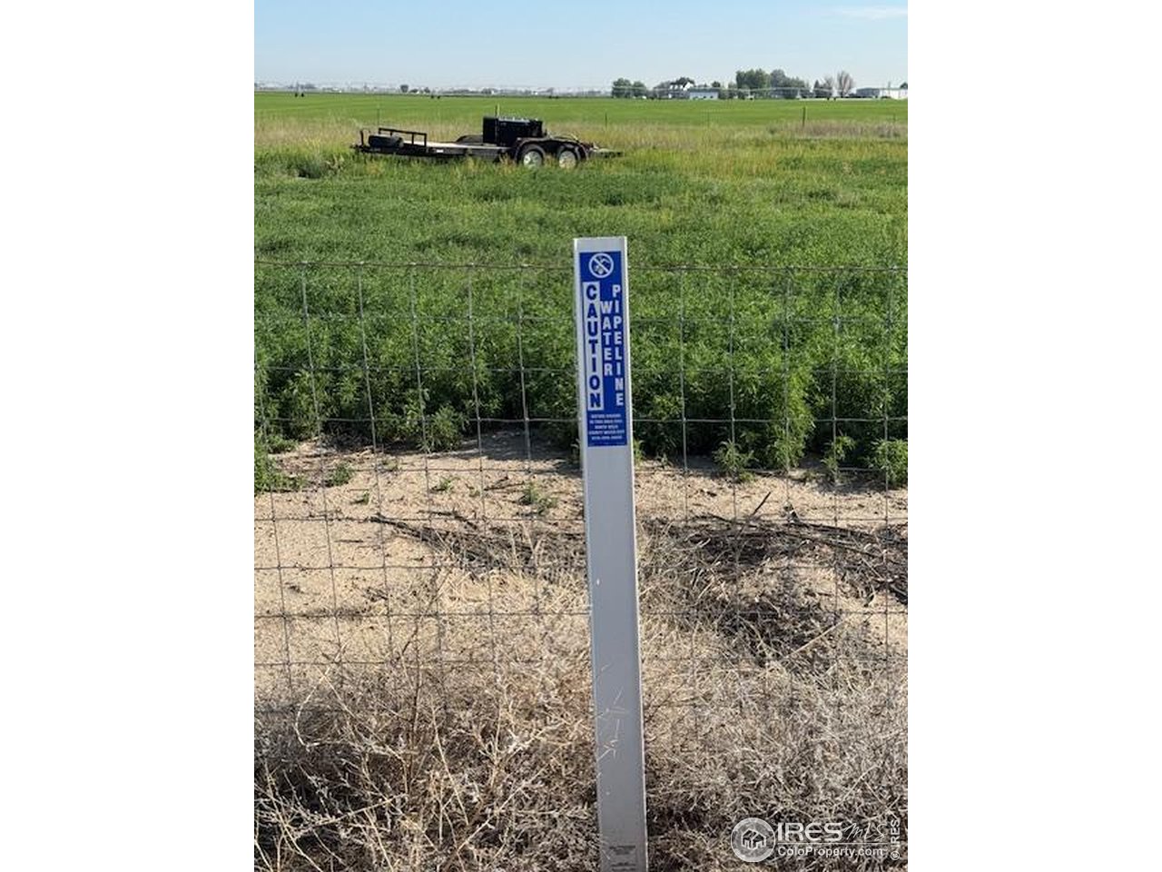 20801 County Road 72 Eaton, CO 80615 - Photo 3 of 4 a view of a forest