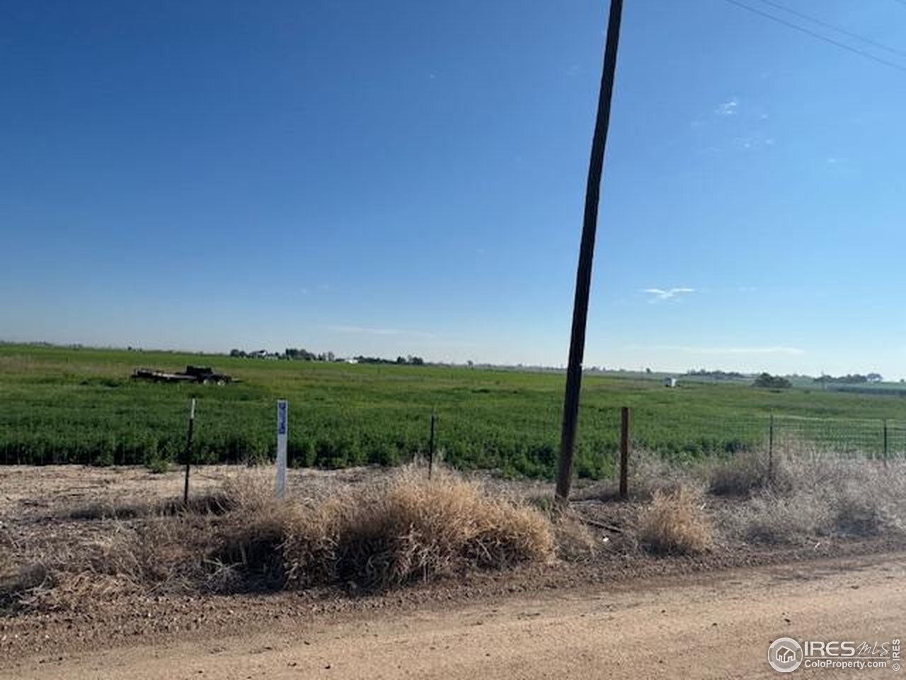 20801 County Road 72 Eaton, CO 80615 - Photo 4 of 4 a view of a garden with a tree