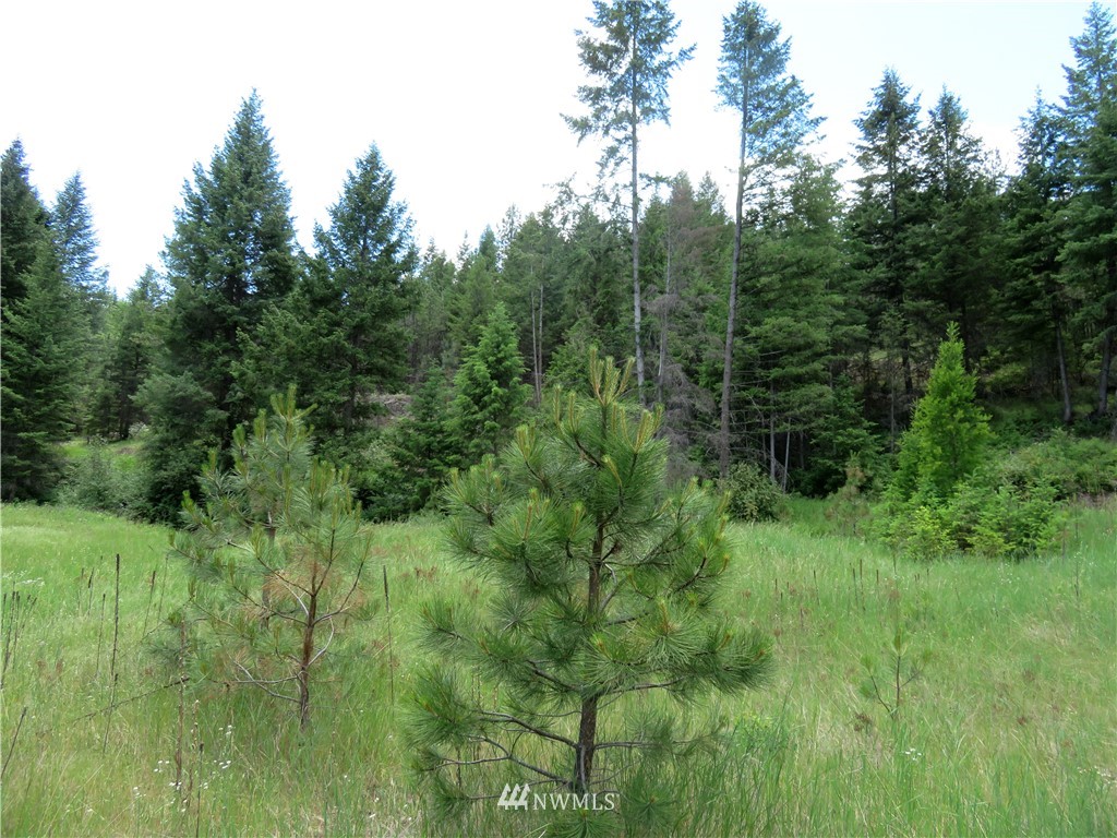 -tbd West Curlew Lake Road Republic, WA 99166 - Photo 14 of 25