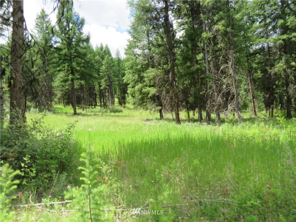 -tbd West Curlew Lake Road Republic, WA 99166 - Photo 3 of 25