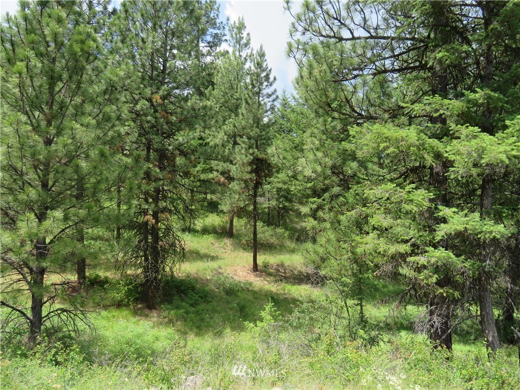 -tbd West Curlew Lake Road Republic, WA 99166 - Photo 22 of 25