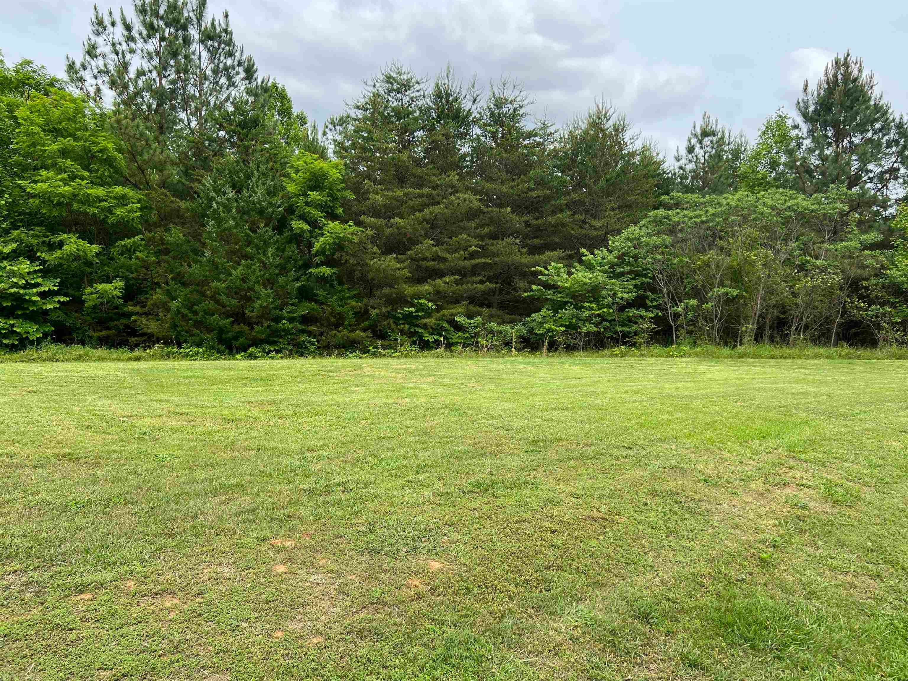 0 Truevine Road Penhook, VA 24137 - Photo 4 of 13 Gallery Image 4