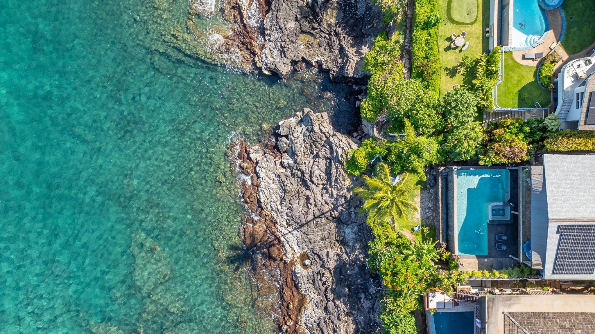 5171 Lower Honoapiilani Road Lahaina, HI 96761 - Photo 37 of 48 a plant that is in front of the house