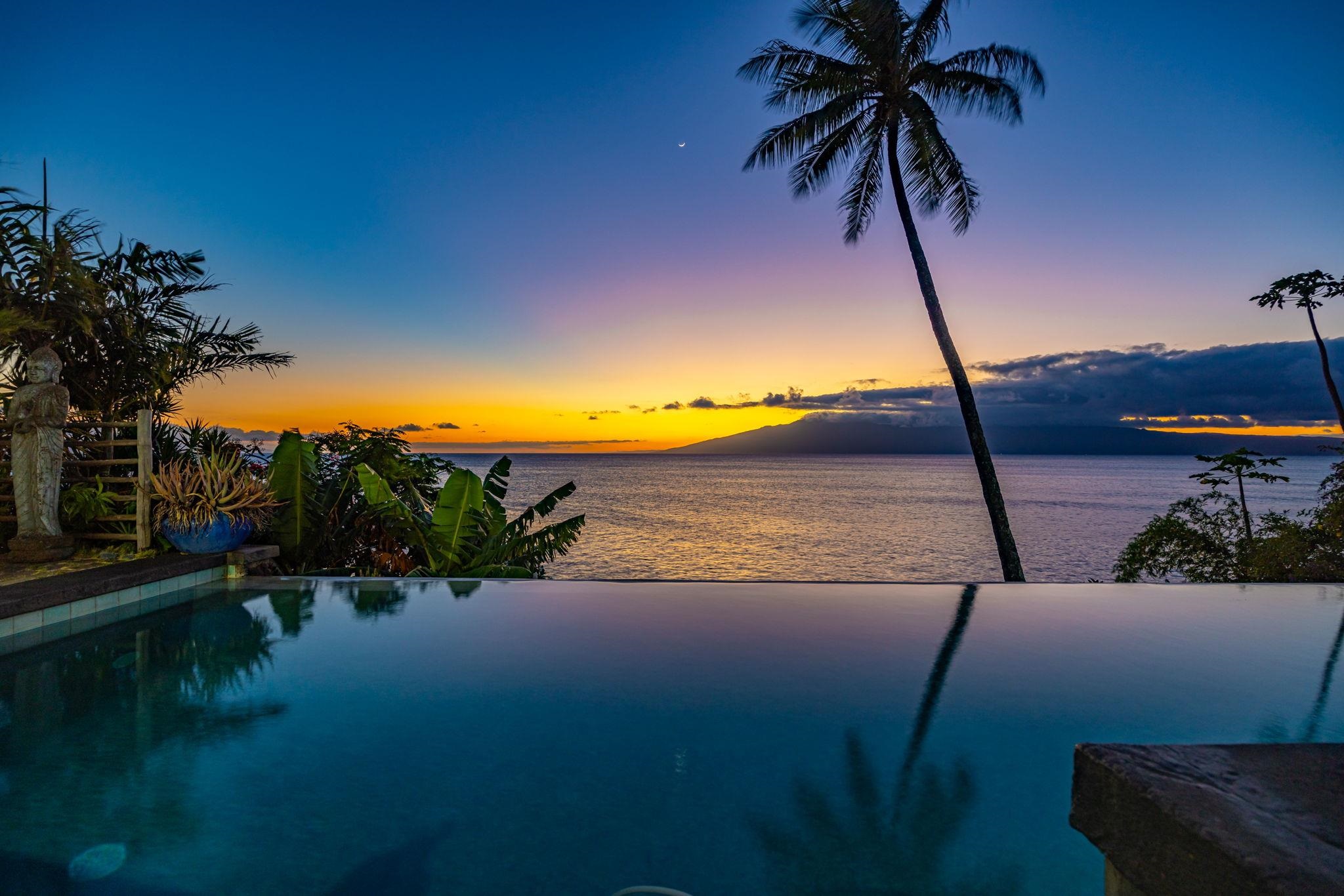 5171 Lower Honoapiilani Road Lahaina, HI 96761 - Photo 48 of 48 a view of a lake and palm trees