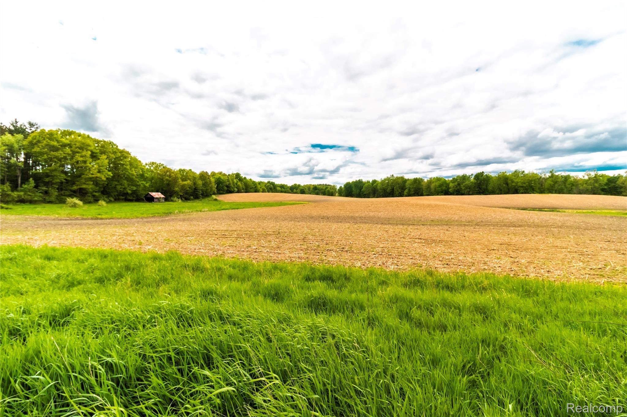4146 Mitchell Road Lapeer, MI 48446 - Photo 47 of 65 Farm Field.jpg