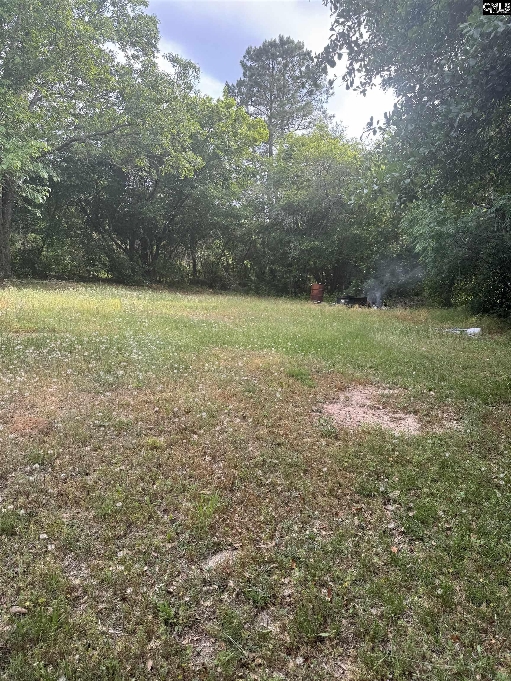 1010 Calvary Church Road Neeses, SC 29107 - Photo 3 of 19