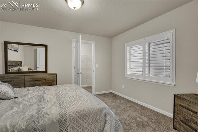 11339 Rill Point Colorado Springs, CO 80921 - Photo 25 of 35