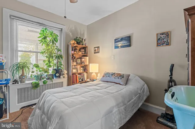 a bedroom with a bed a bookshelf and a potted plant