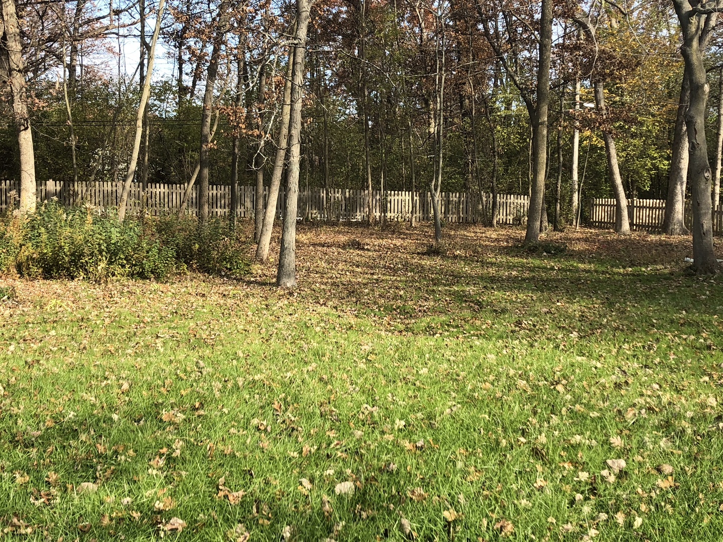 793 Cherokee Road Lake Forest, IL 60045 - Photo 38 of 39 a view of outdoor space with trees