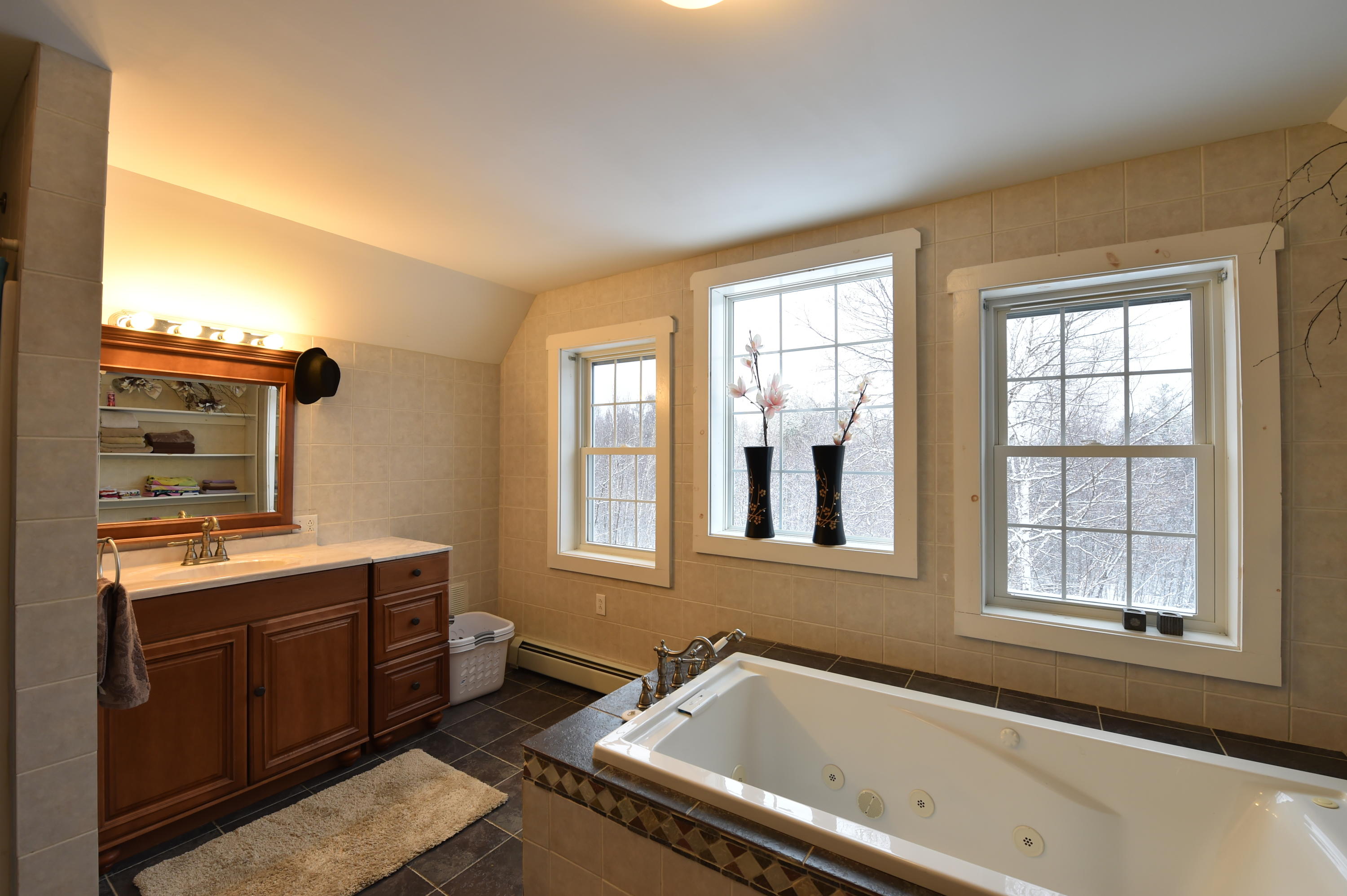 645 Transalpine Road Lincoln, ME 04457 - Photo 26 of 42 DSC_4204