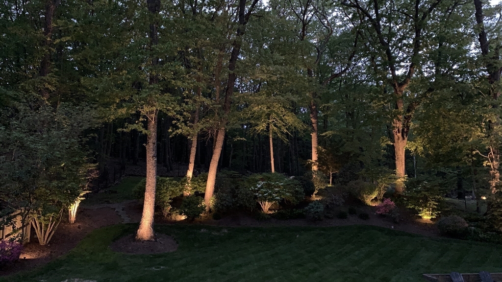 5 Walnut Street Lexington, MA 02421 - Photo 29 of 34 a view of a park