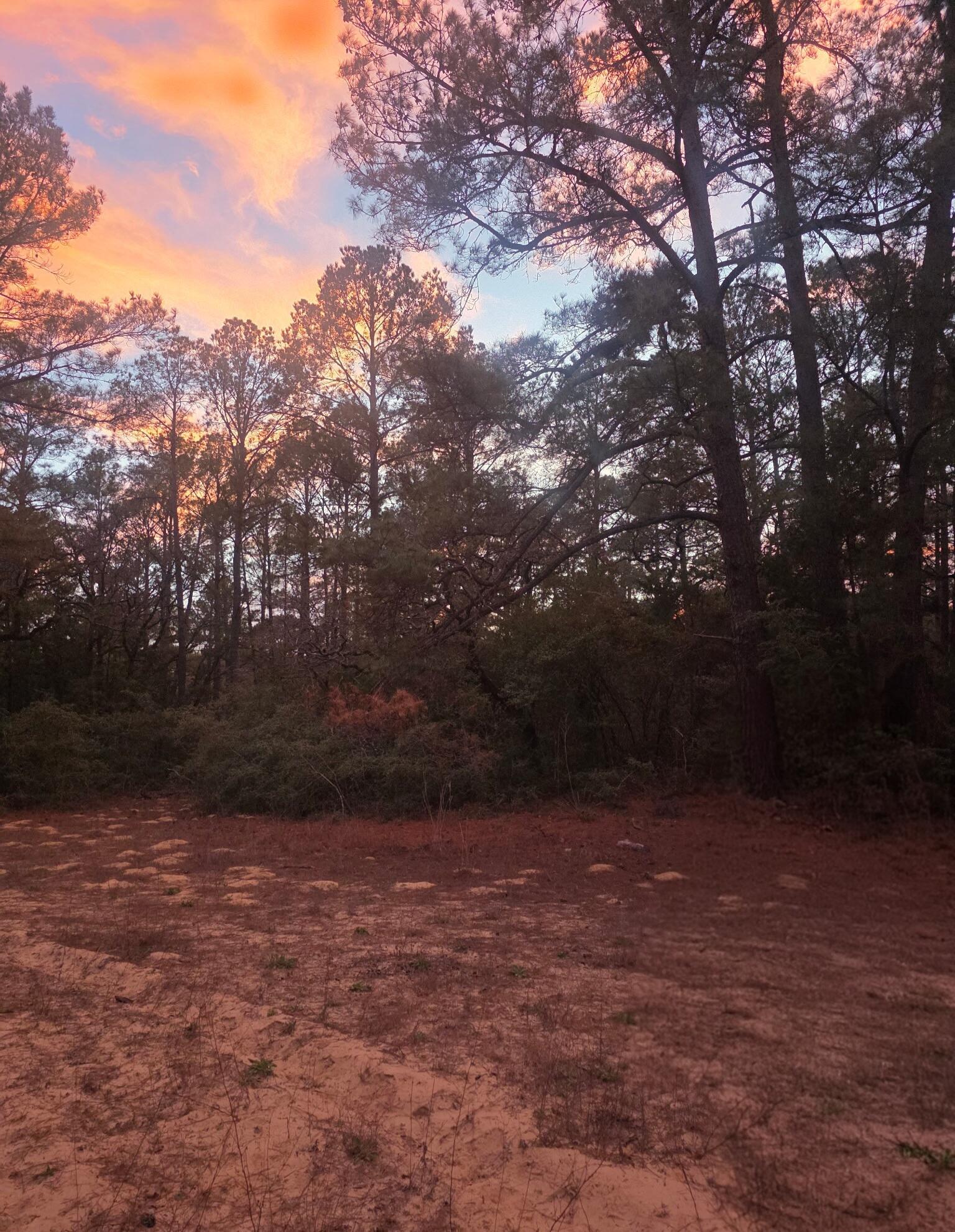 114 Fealy Road Red Rock, TX 78662 - Photo 20 of 22