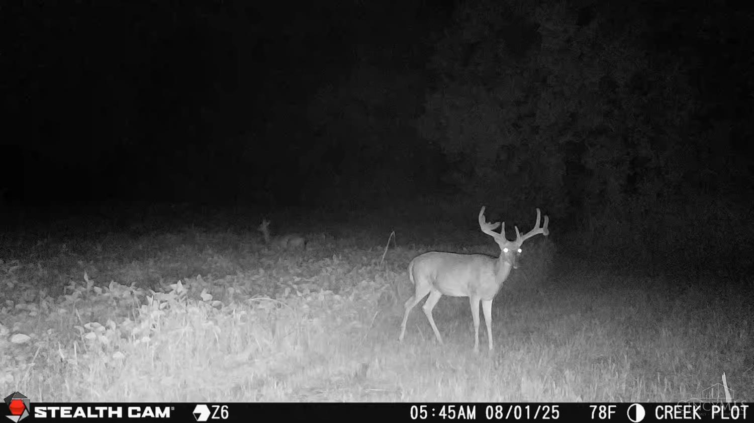 0 Inlow- Tract 2 Avenue Peebles, OH 45660 - Photo 18 of 24