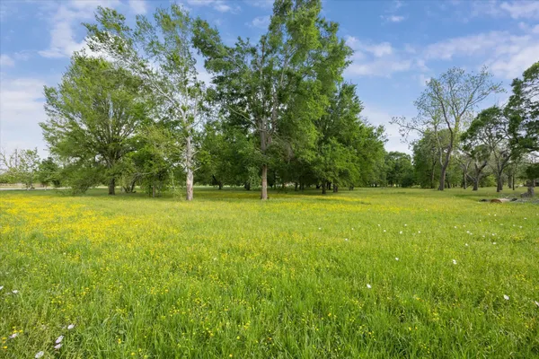 a view of a field with a trees in the background