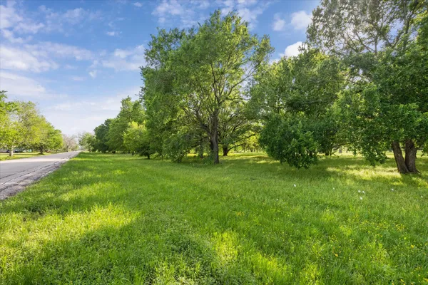 a view of green field with trees in the background