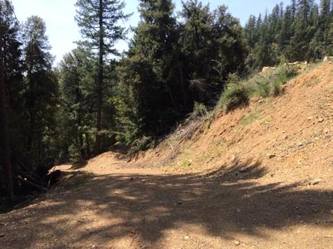 30-acres Bowerman Ridge Road, Unit NONE Trinity Center, CA 96091 - Photo 6 of 7