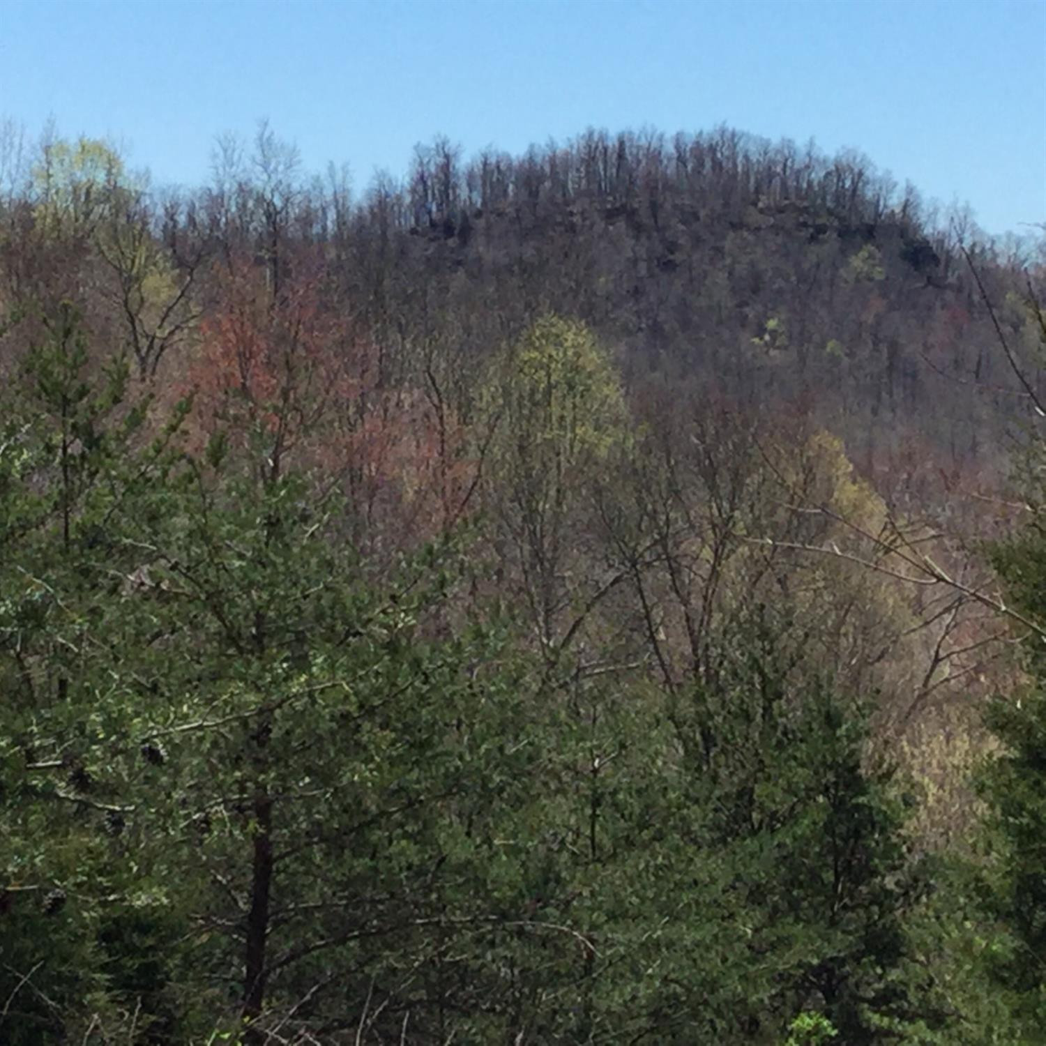 3075 Peter Trace Means, KY 40346 - Photo 23 of 56 Photo 23