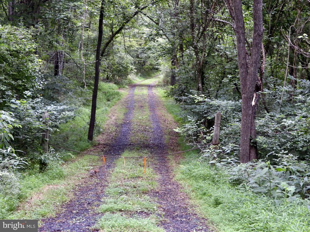 103 Grandview Road Washington, VA 22747 - Photo 34 of 47 Private Driveway into the Property