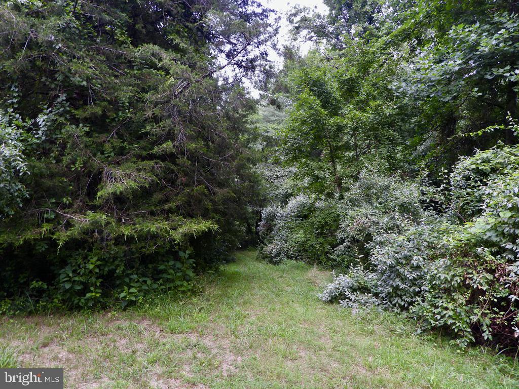 103 Grandview Road Washington, VA 22747 - Photo 37 of 47