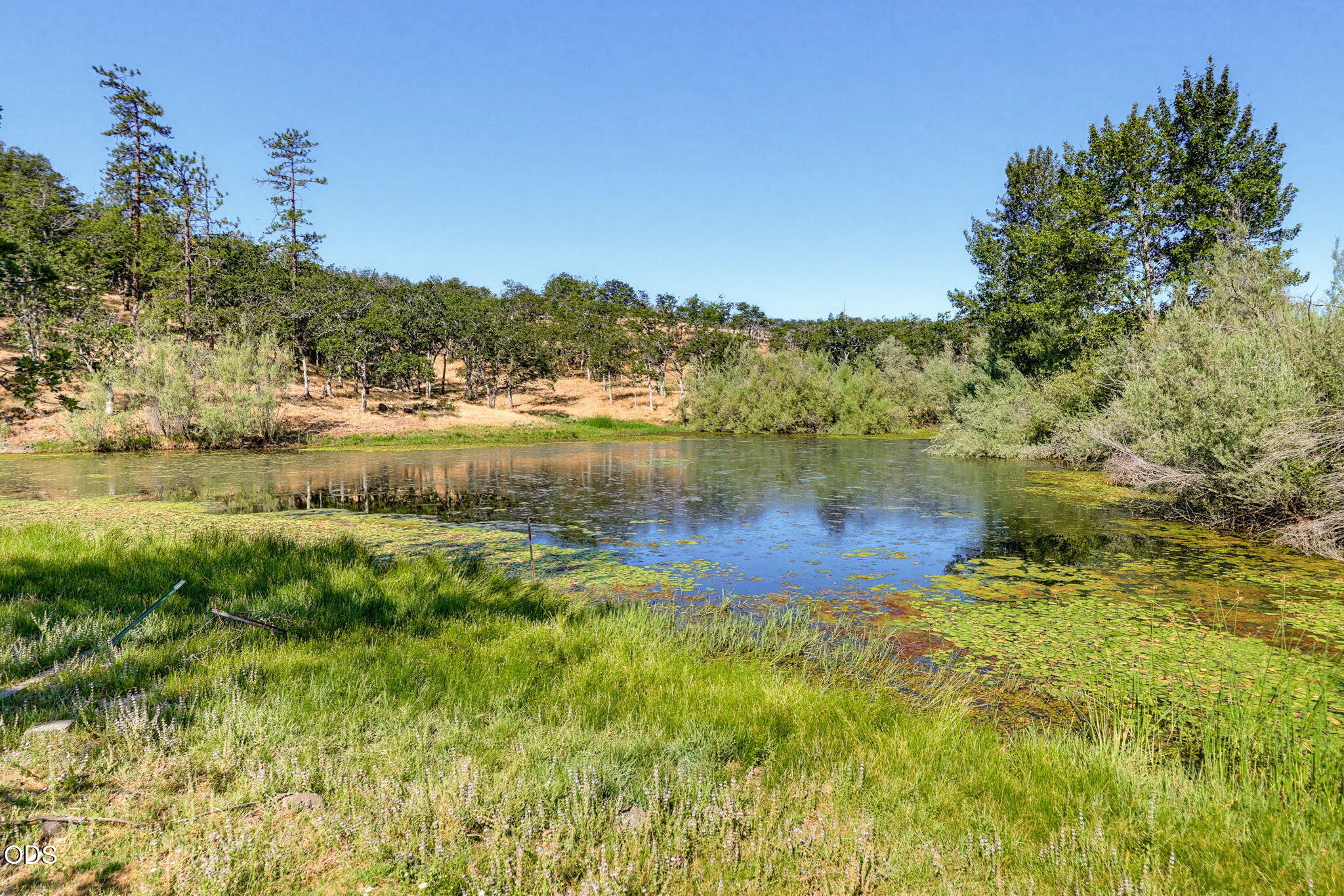 4001 South Fork Little Butte Creek Road Eagle Point, OR 97524 - Photo 8 of 85 Gallery Image 8