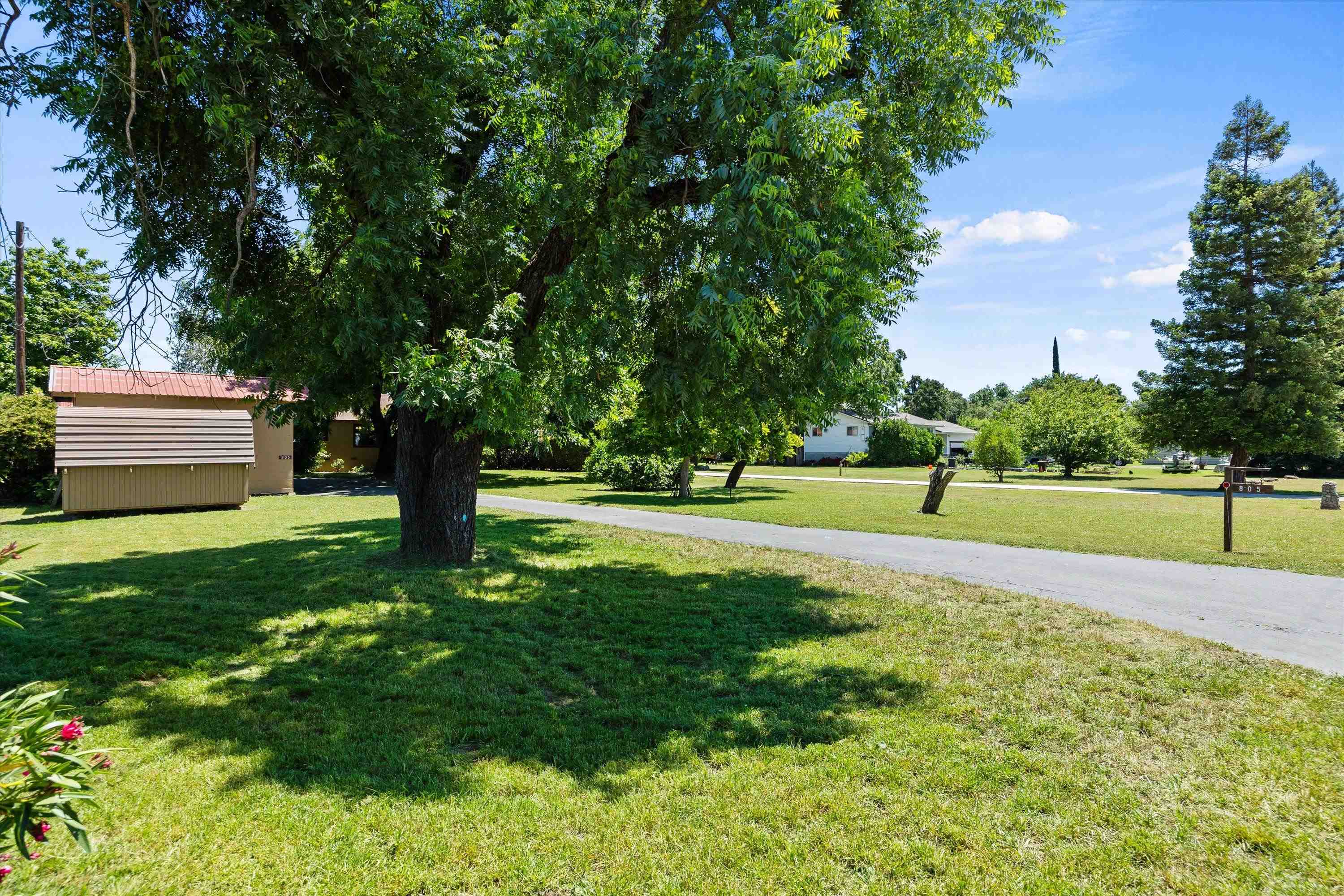 805 2nd Street Gerber, CA 96035 - Photo 31 of 52